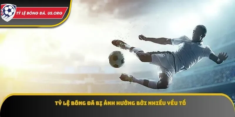 Tỷ lệ bóng đá bị ảnh hưởng bởi nhiều yếu tố
